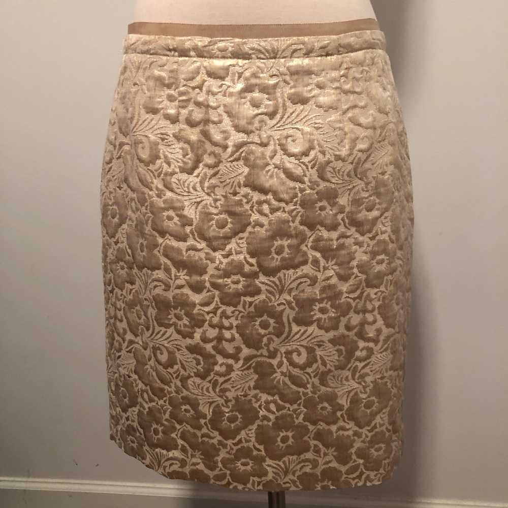 Ann Taylor Loft Skirt ***